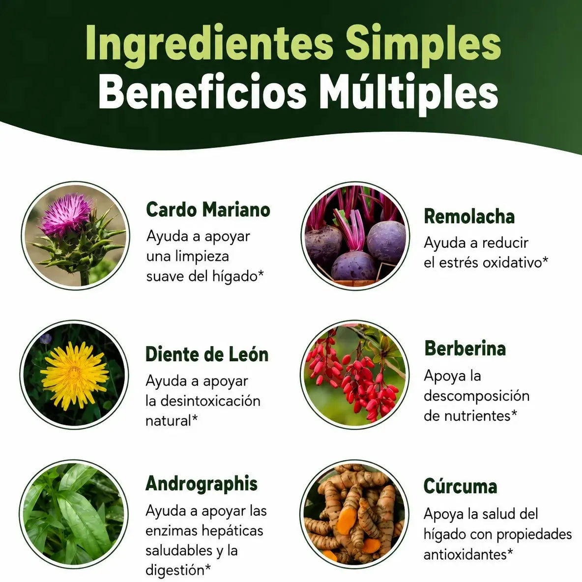 Desintoxicante de Hígado SANHEPTO LIVER 70 Capsulas